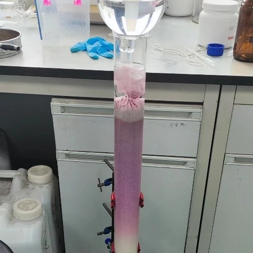 Guard Column In Chromatography